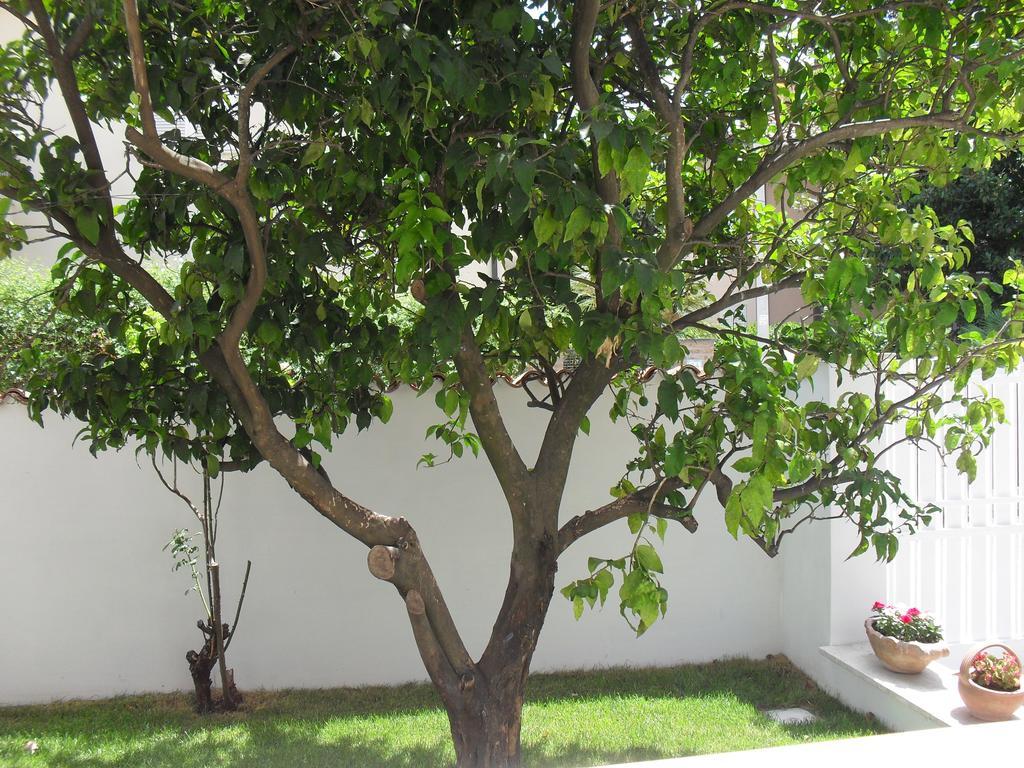 Casa Santolina B&B Rom Exterior foto